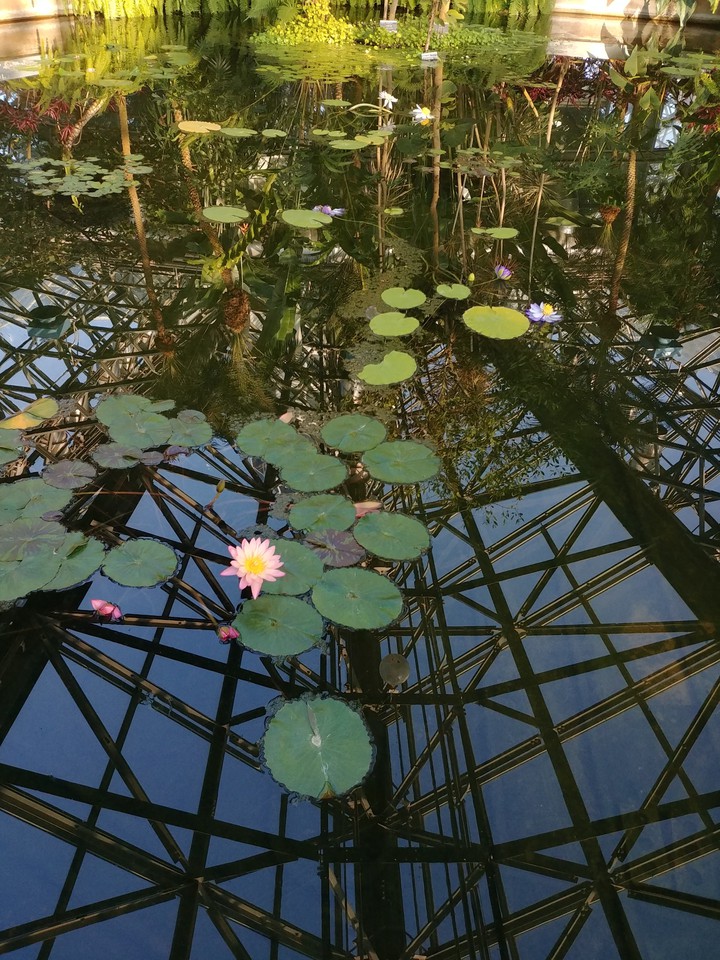 straight in water