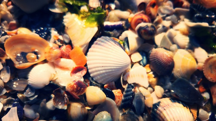 black sea