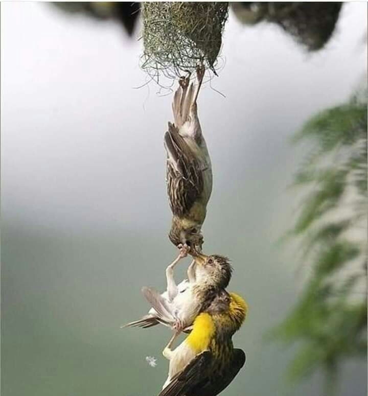 enjoy nature
