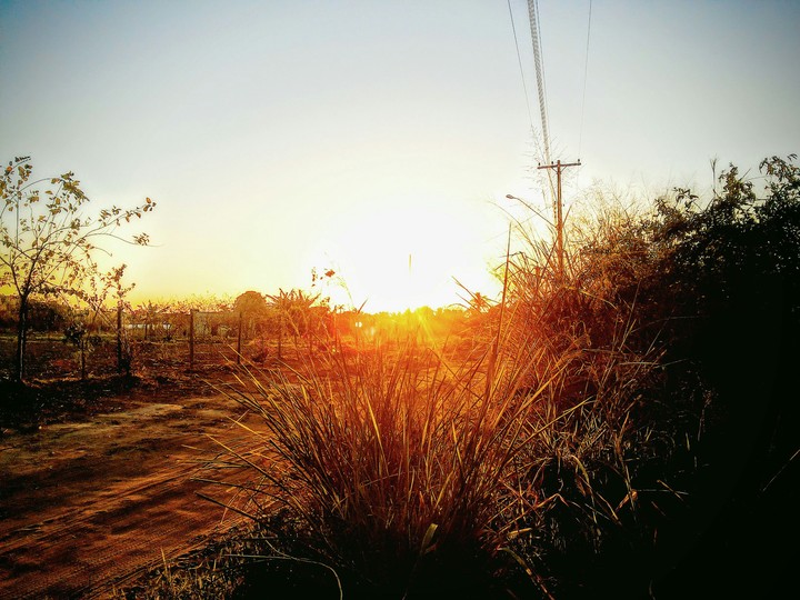Sun Divine