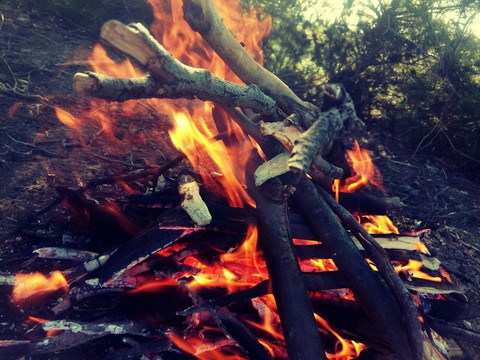 ash, fire壁纸