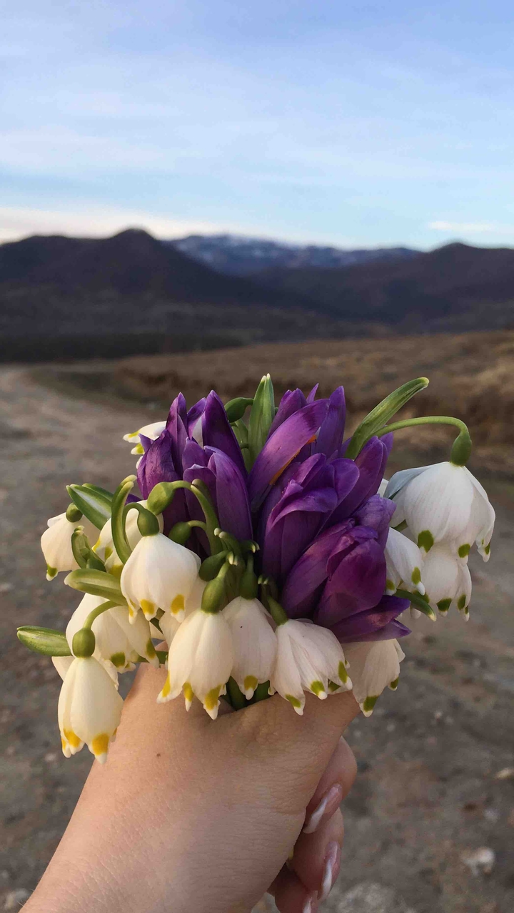#flowers