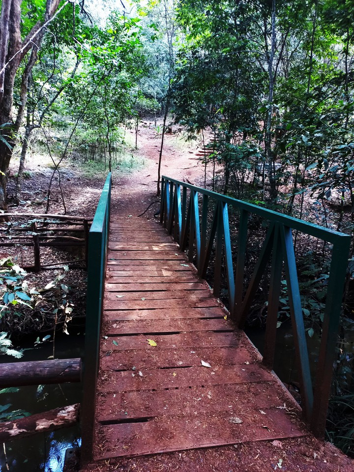 Bridge