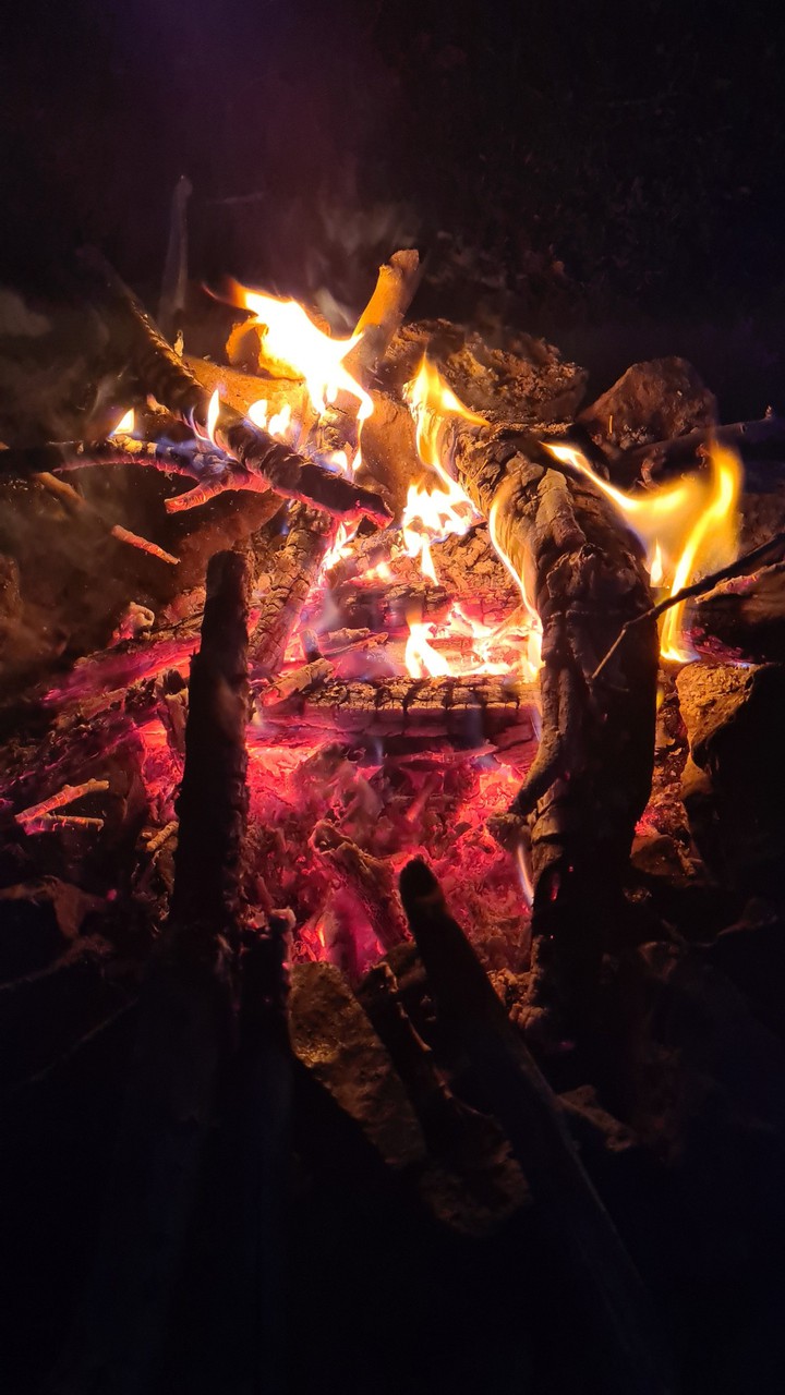 Bonfire