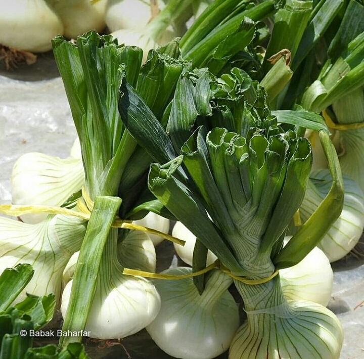 Garlic
