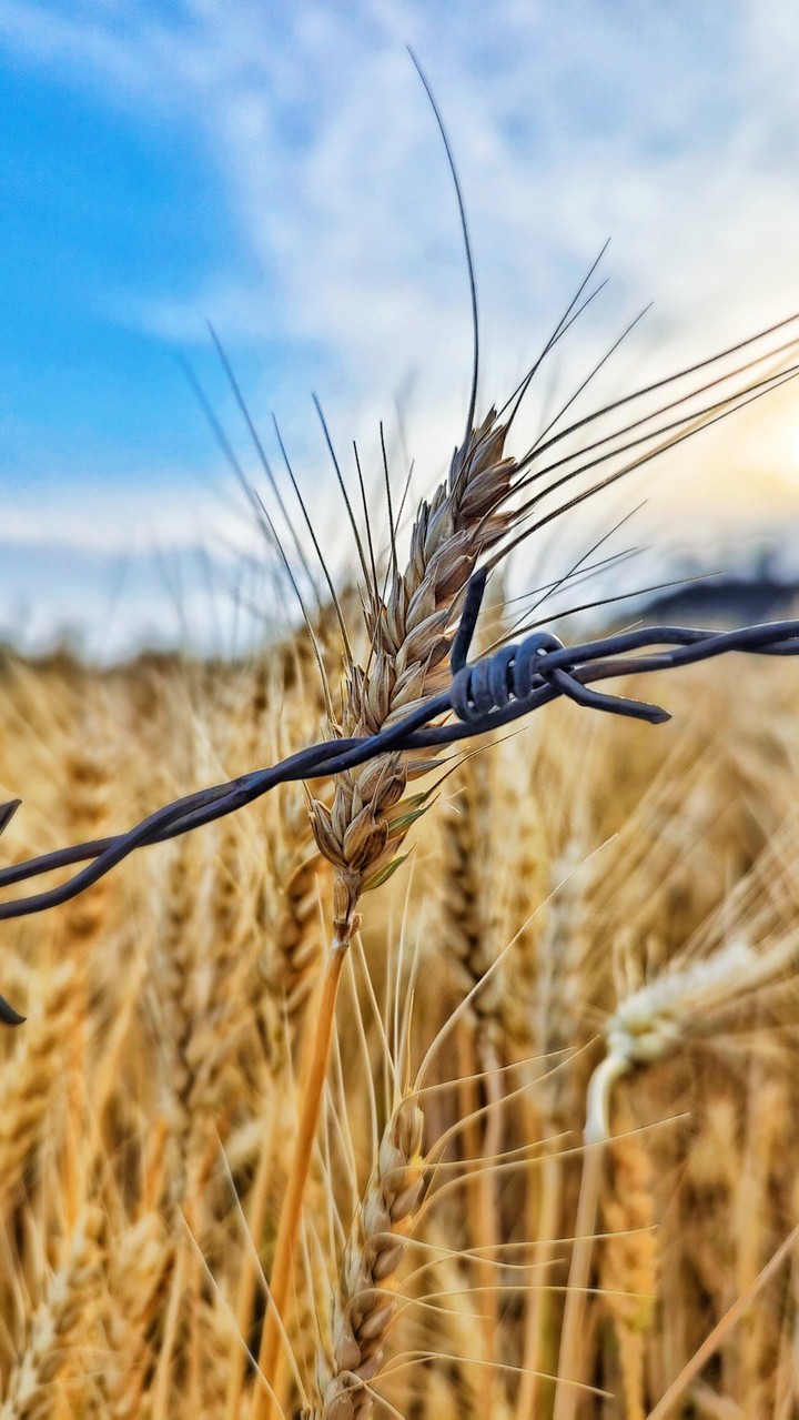 .