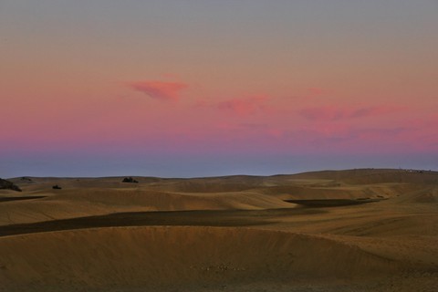 sunset in a desert