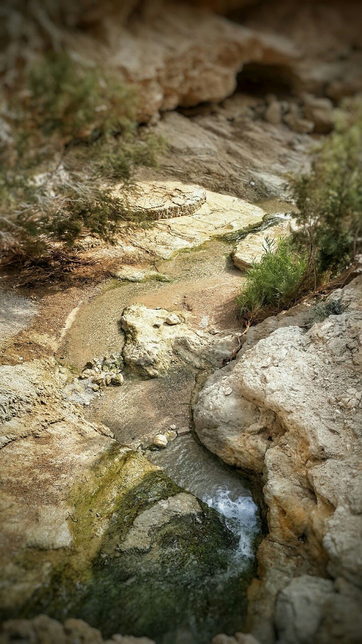 stream of life
