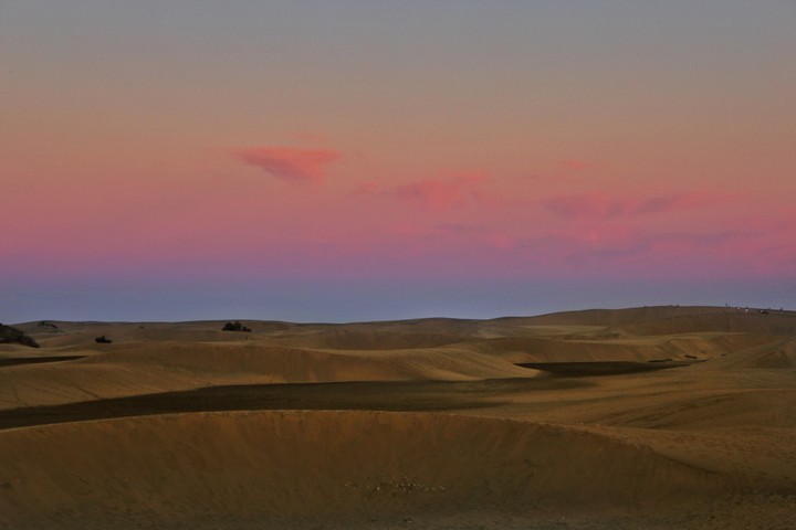 sunset in a desert