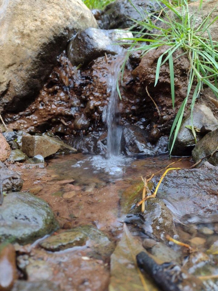 Corriente de agua