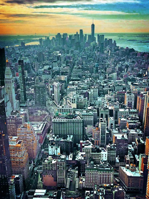 New York New York