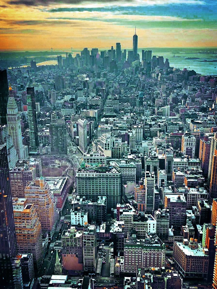 New York New York