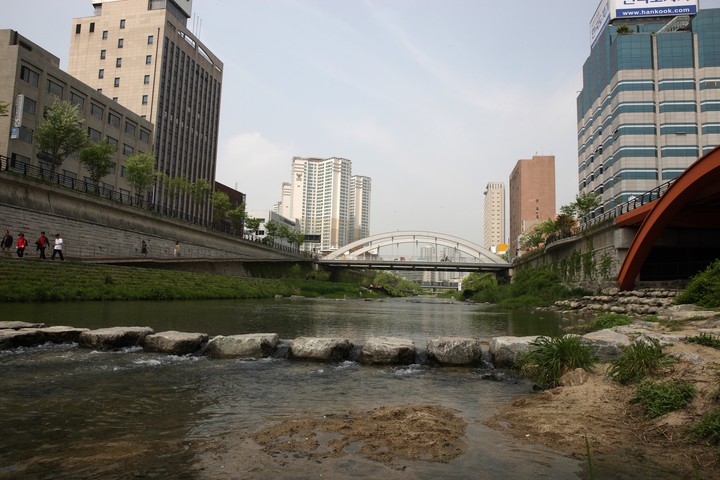 Scenics