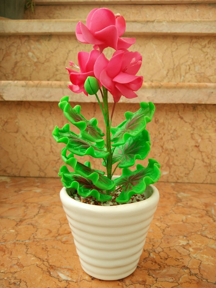 flower 