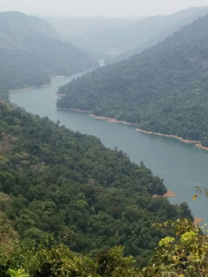 sharavathy valley, india