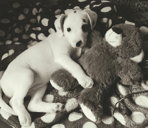 LUNA