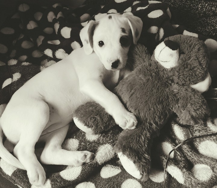LUNA