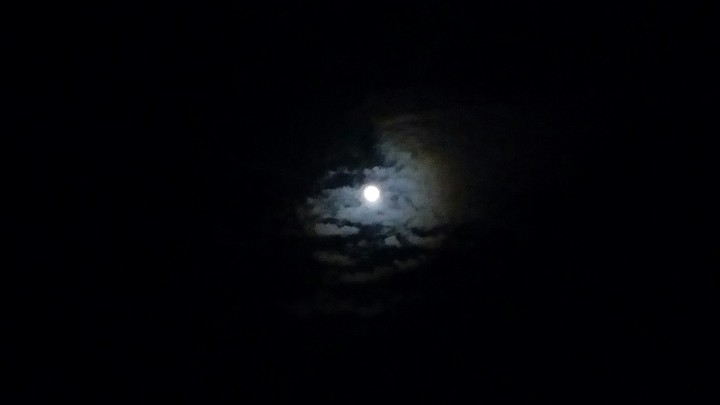 Moon light