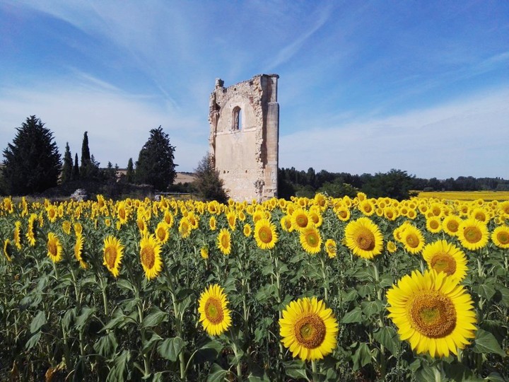 Castilla y León