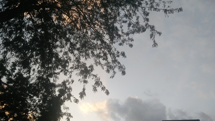 Earth and sky