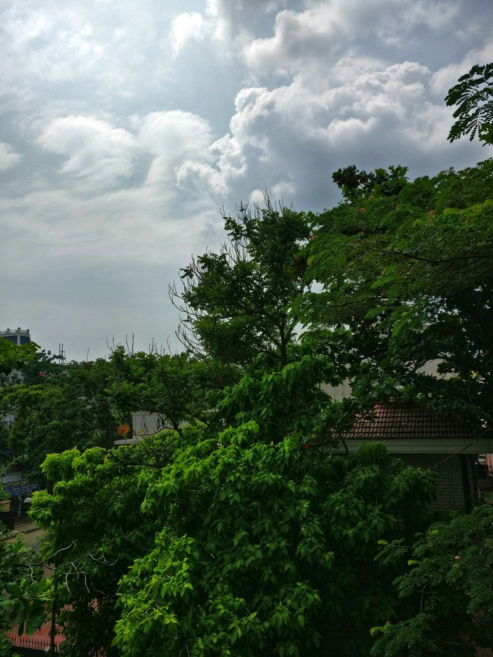 clouds