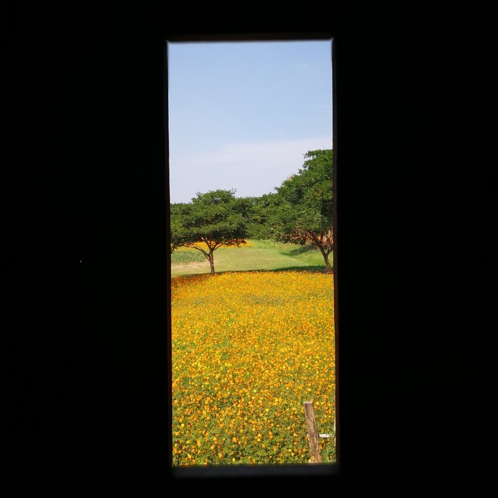 Outside