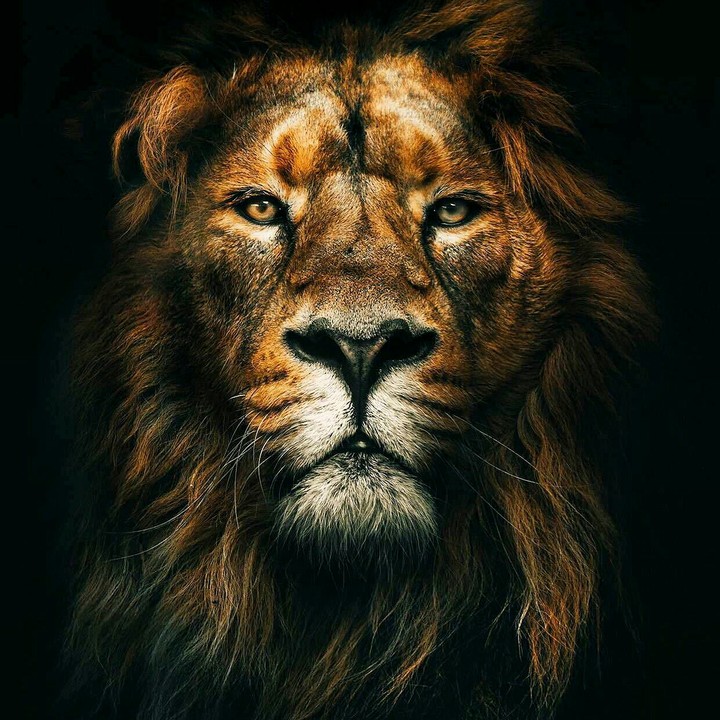 power