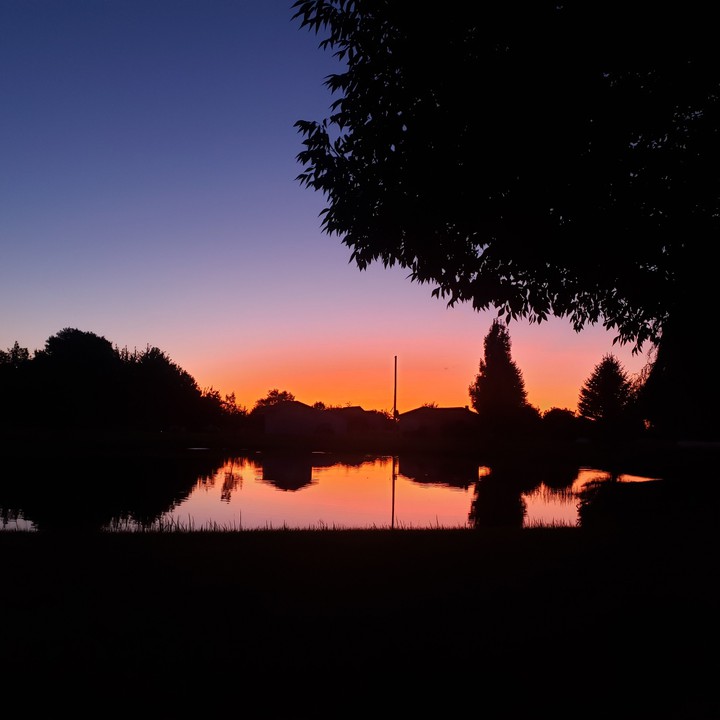 serene evening