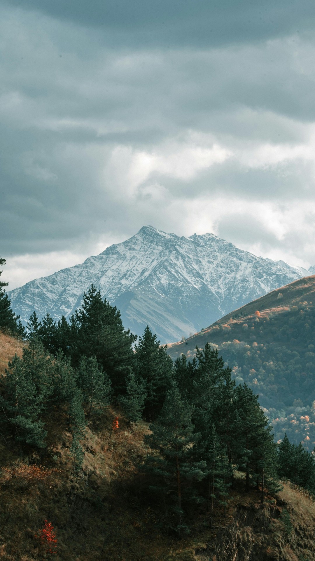 terrain, Wilderness Hintergrundbilder
