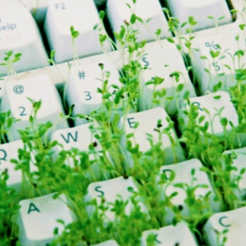 Green KeyBoard