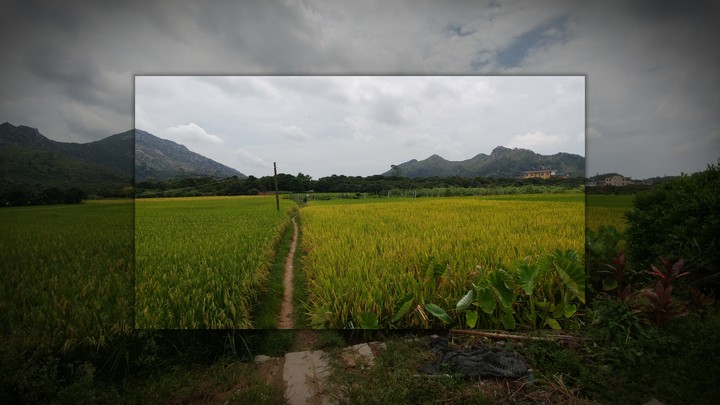 farming