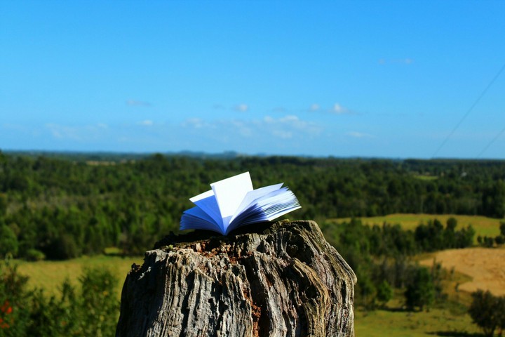 Book At A Lonely Place