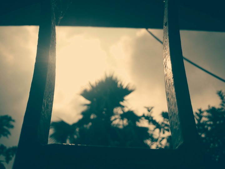 #ari_clicked