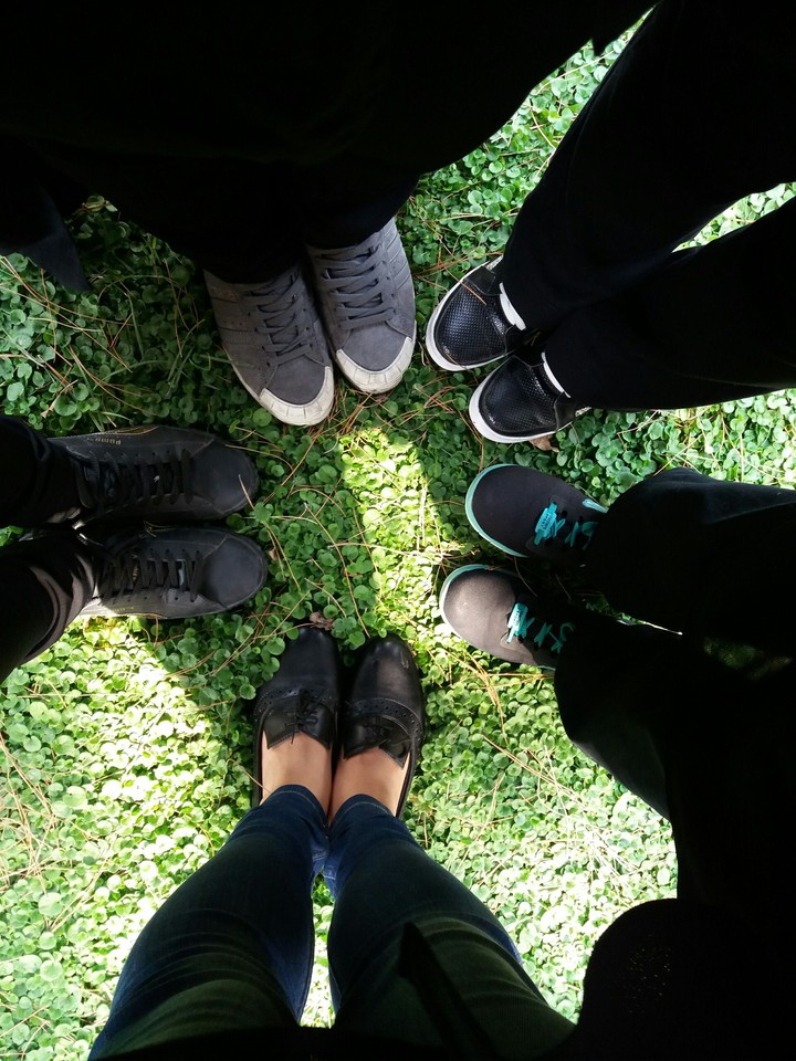 friends