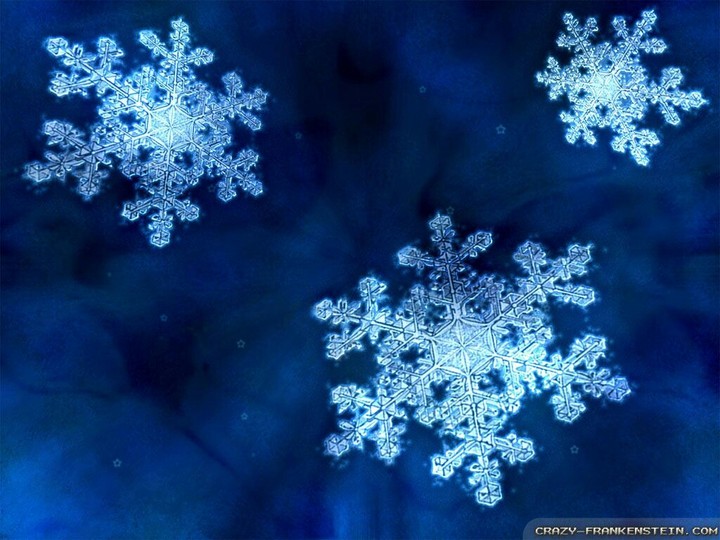 Three snowflakes
