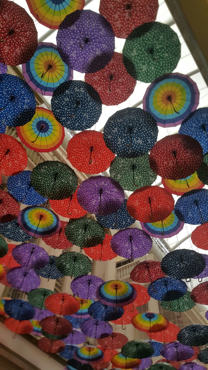 Thousands Umbrellas