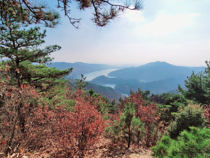 자연