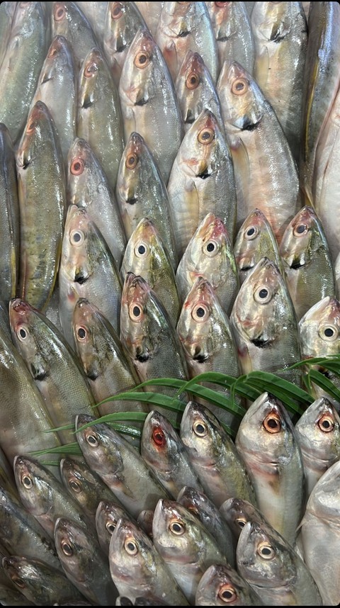 Fishes