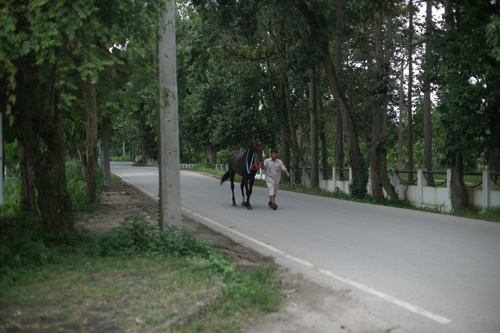Travel