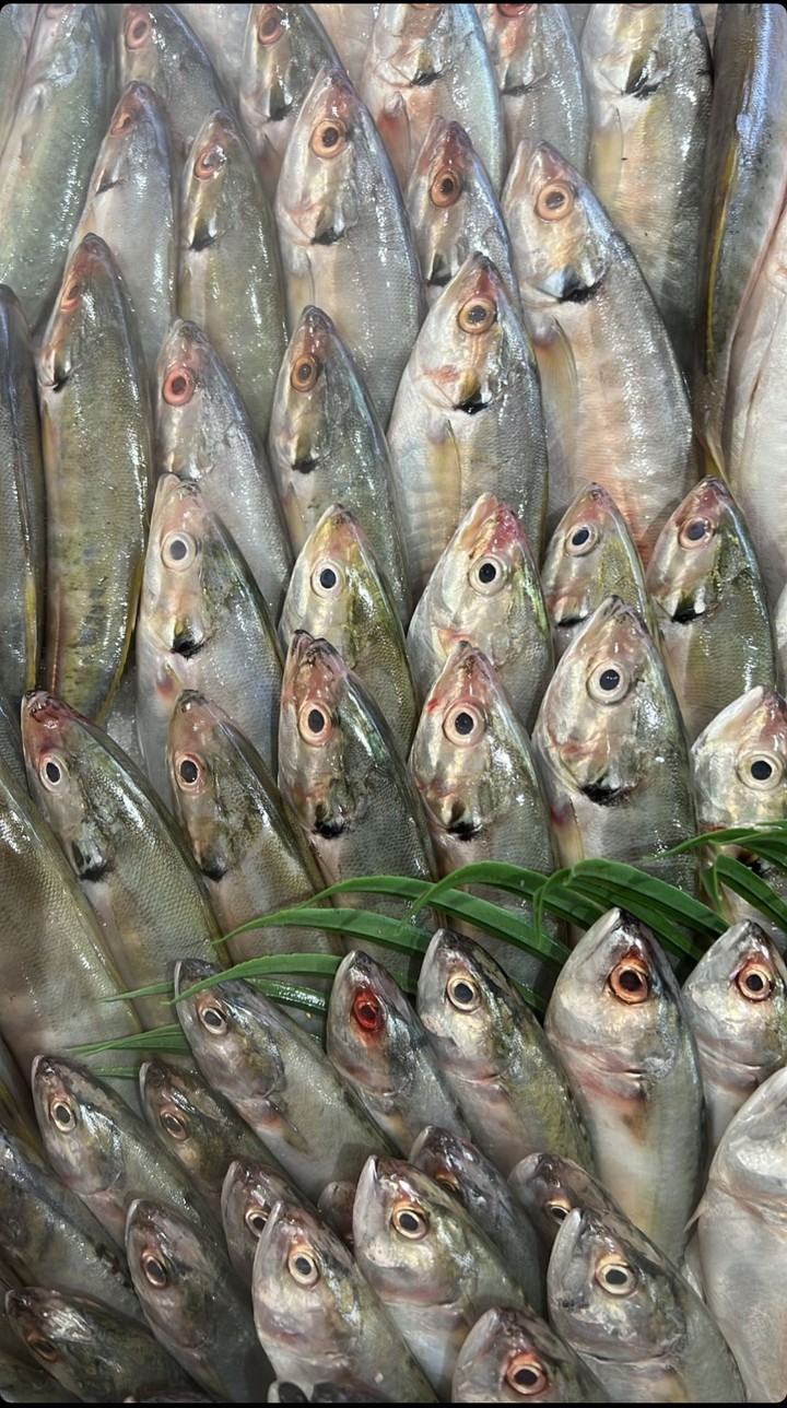 Fishes