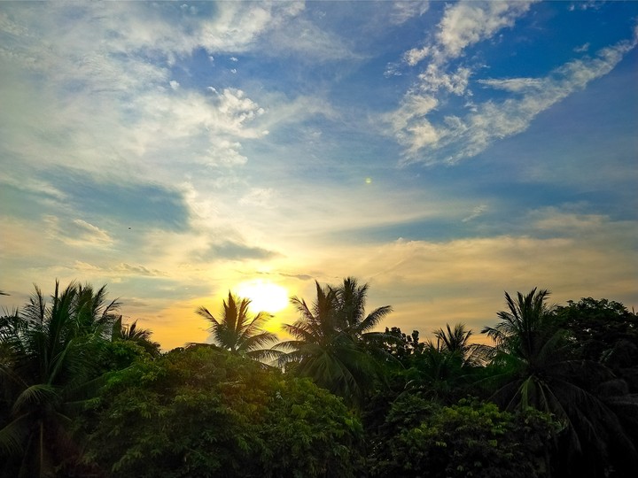 Sunset In The Wood