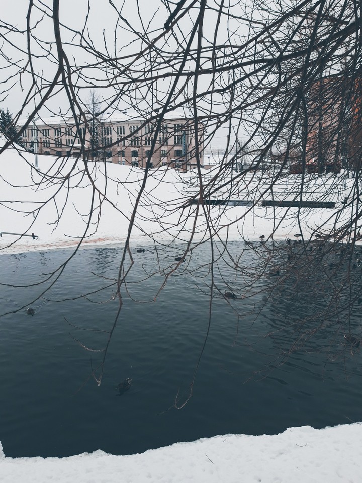 Пруд. Весна