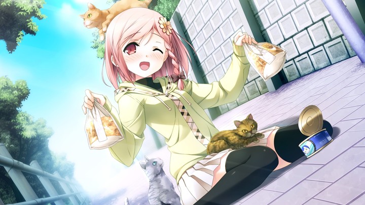 Visual Novel: Your Diary