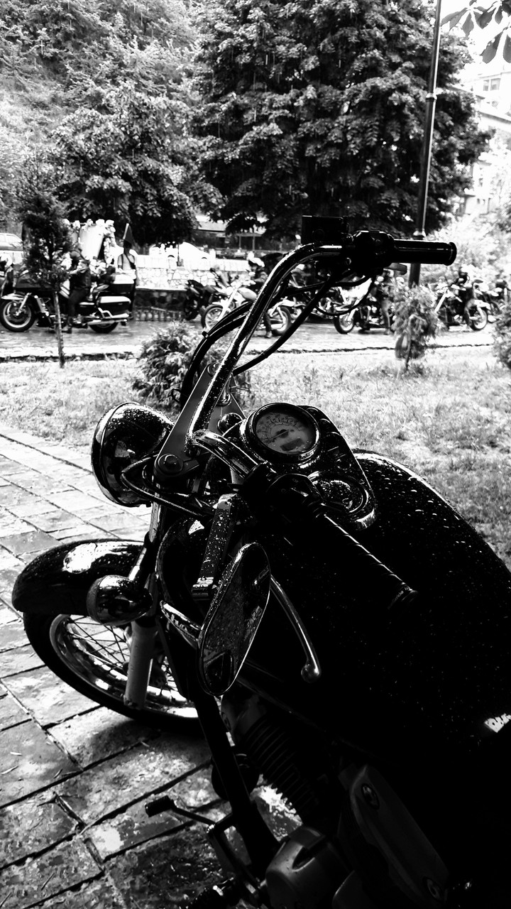 honda shadow