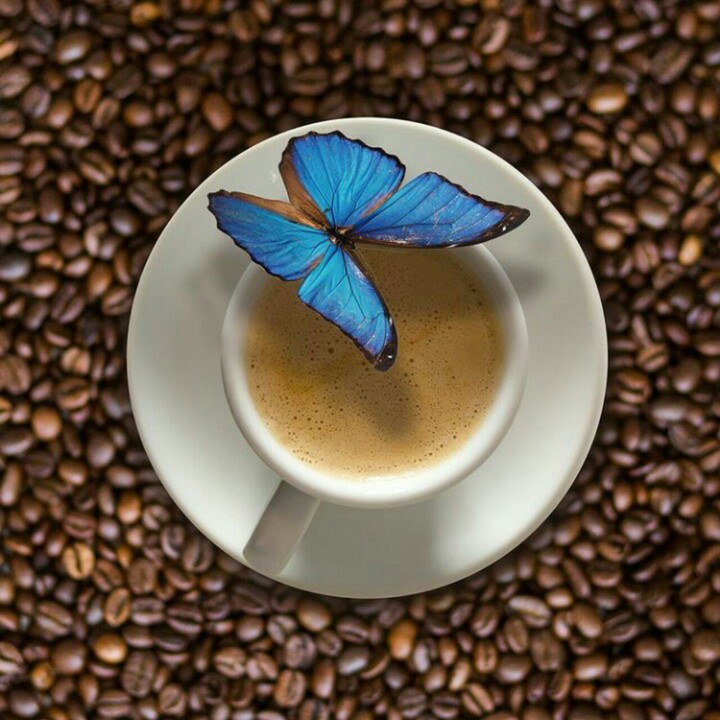buen día