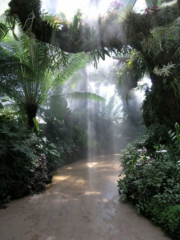 Nature