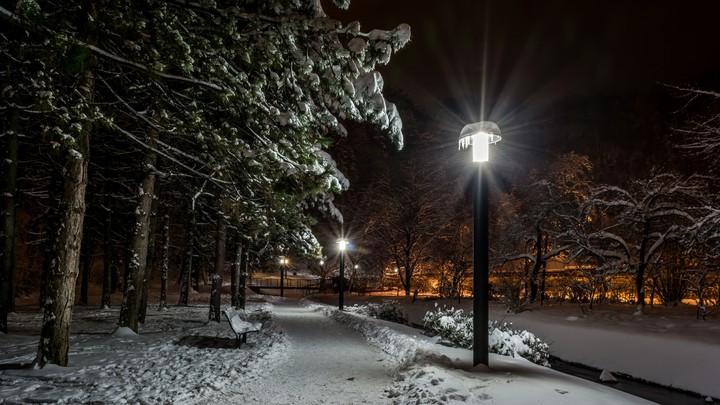 Winter Dream