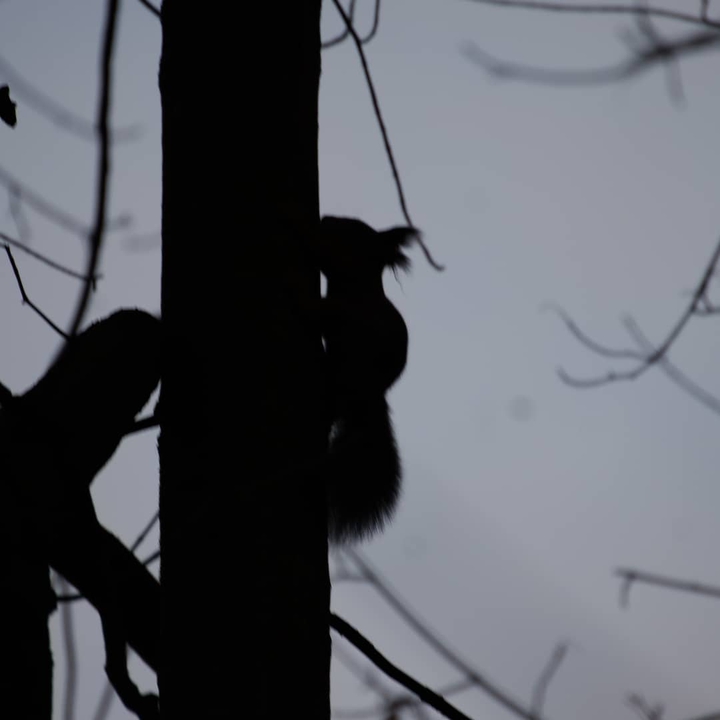 осень