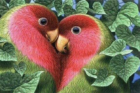 parrot