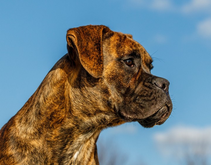 Ares